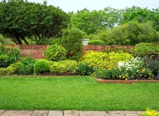 landscaping services Clarksville